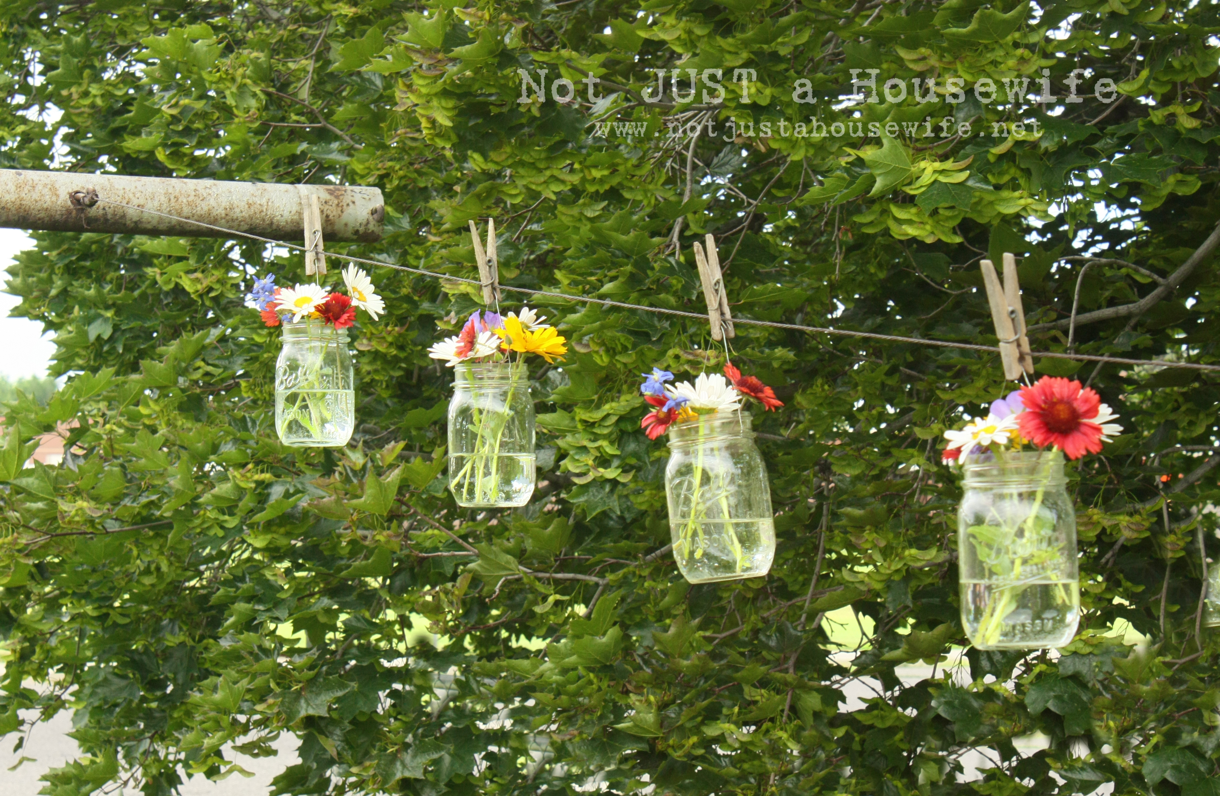 Flowers On The Clothes Line