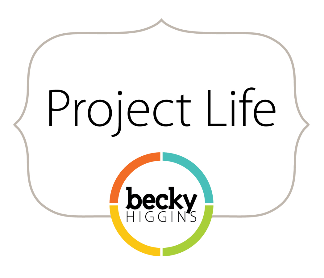 Project Lifer