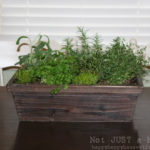 Indoor herb garden