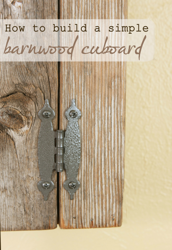 How To Build A Simple Cupboard Stacy Risenmay