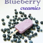 Blueberry Yogurt Bars