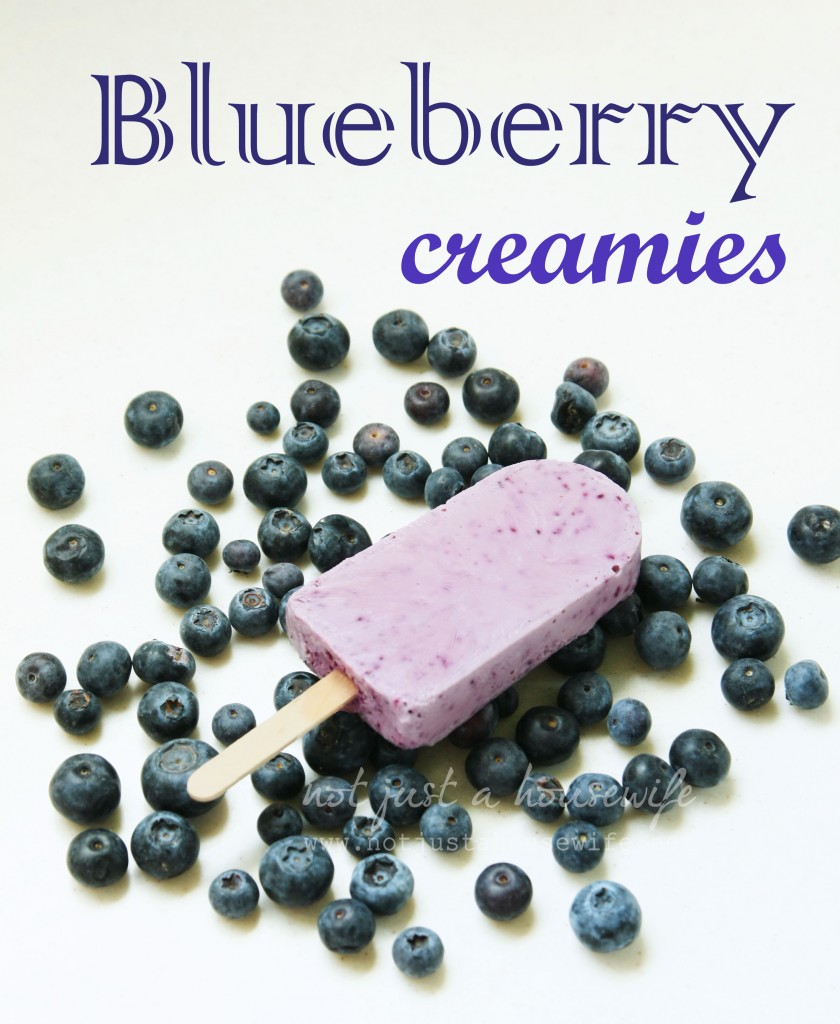 blueberry-creamies