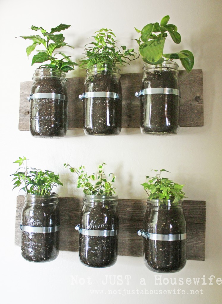 mason-jar-planter-board