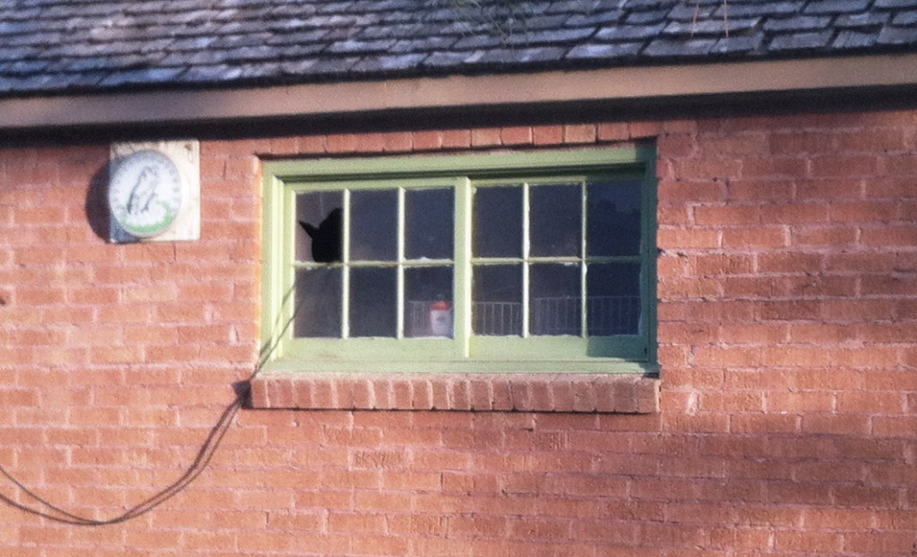 old-window