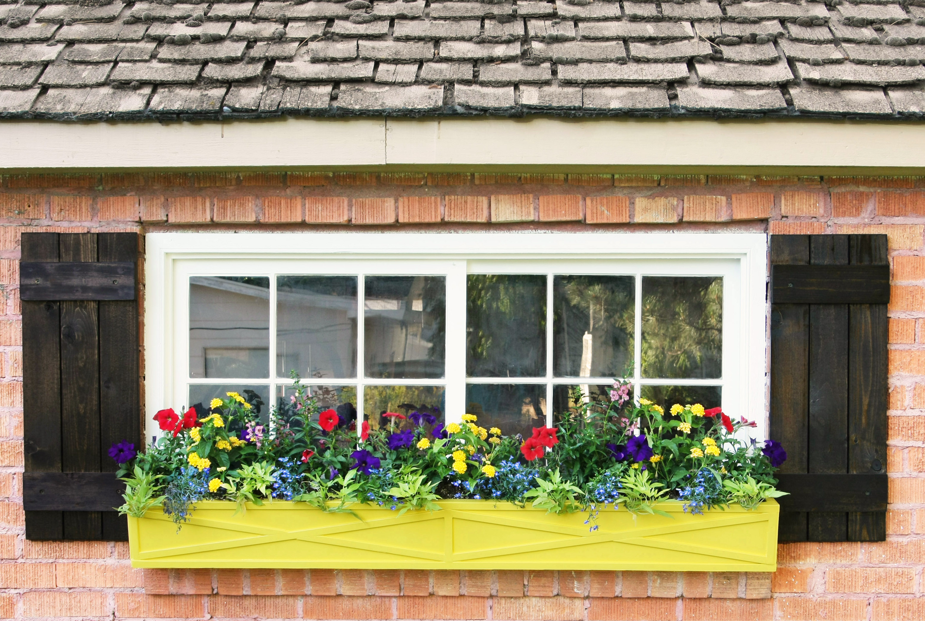 How To Paint An Old Window Stacy Risenmay