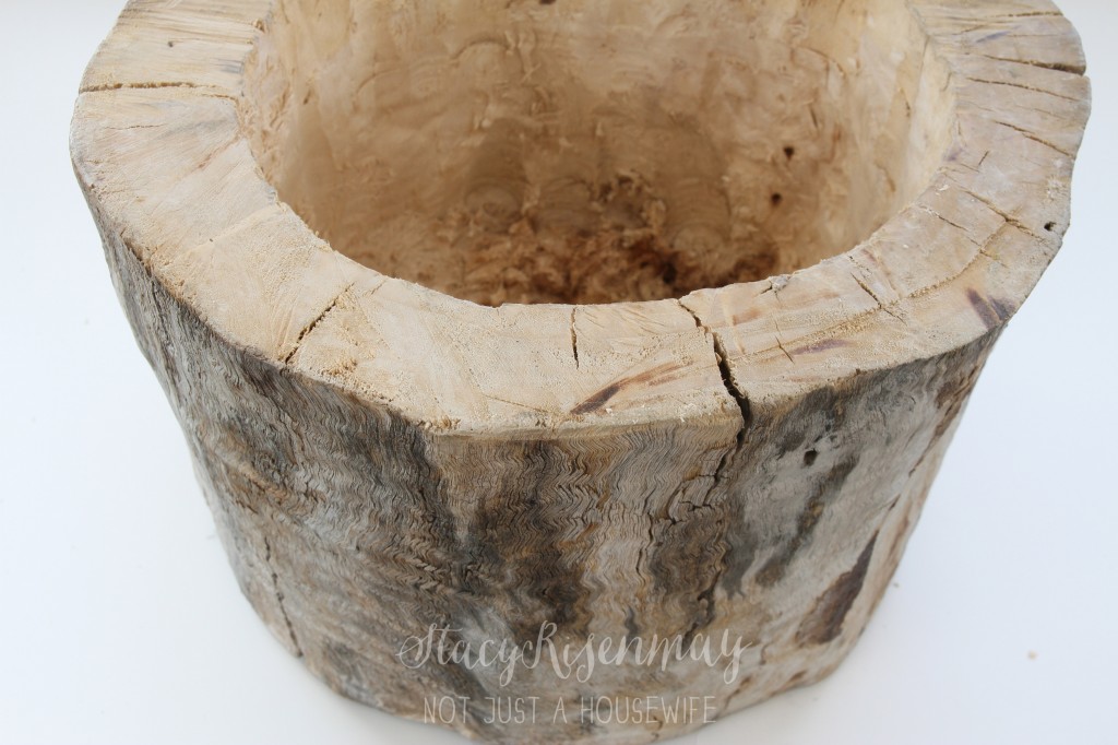 hollow stump