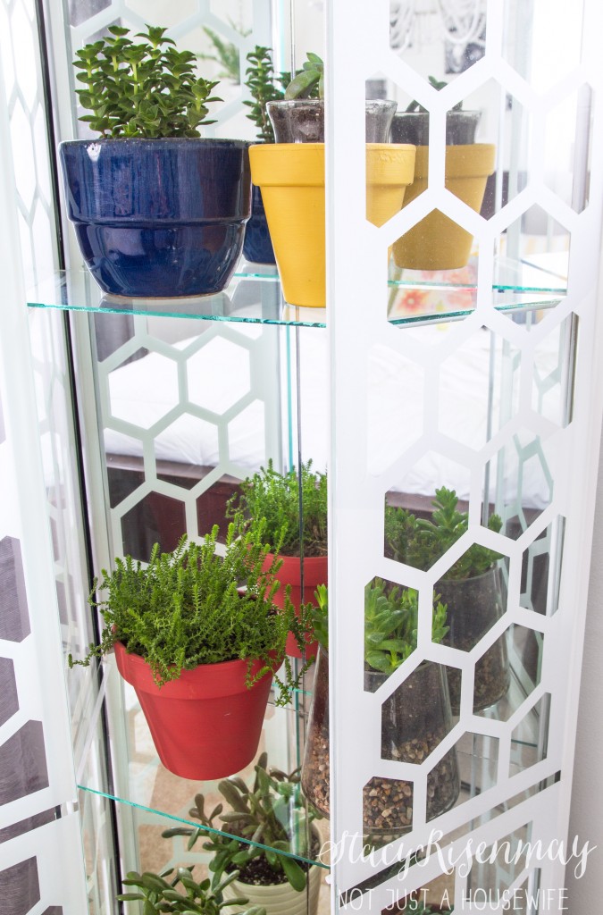 green house with plants