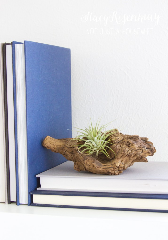 driftwood as bookend