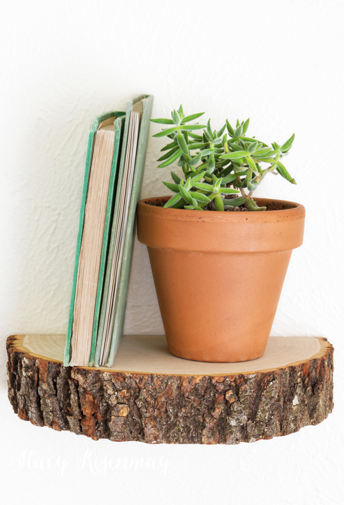 tree-stump--wood-slice-shelf