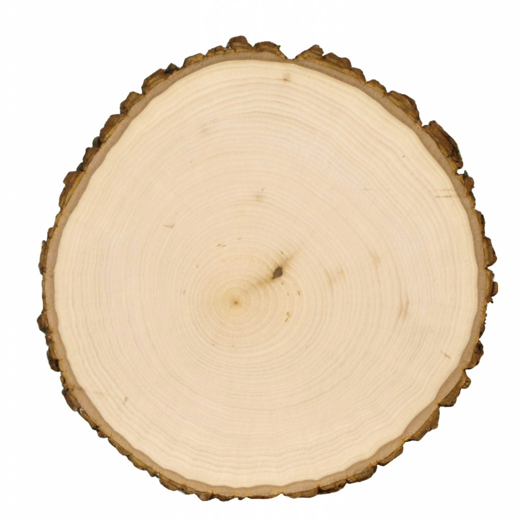wood slice