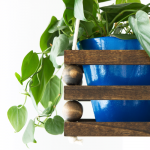 15 DIY Planters You Can Make in a Day!