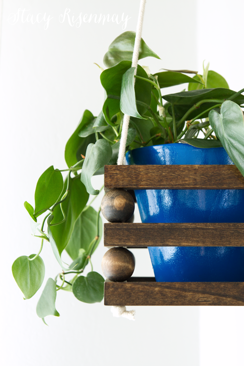 15 easy to care for houseplants! 