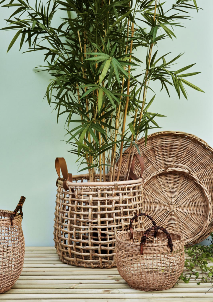 15 easy to care for houseplants! bamboo