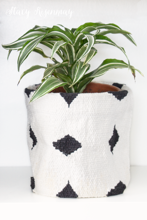 15 easy to care for houseplants! dracaena-plant