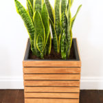 DIY Modern Planter Box