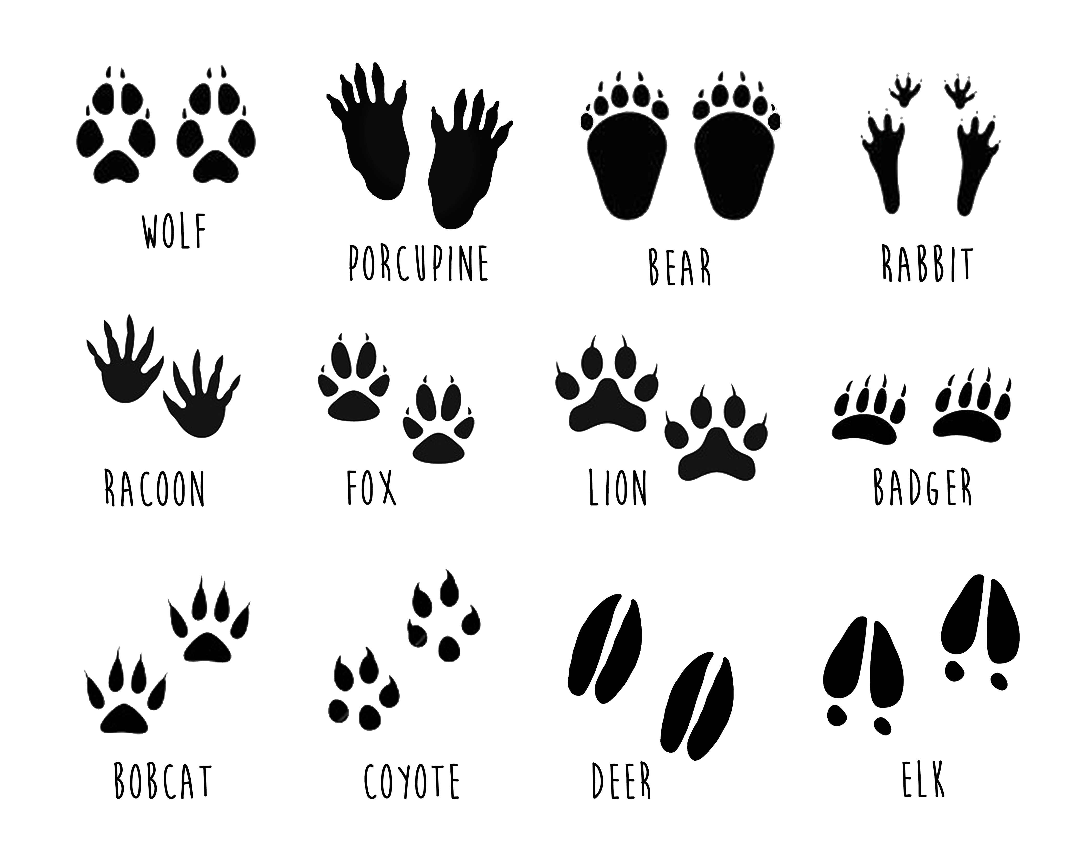 FREE animal footprint printable