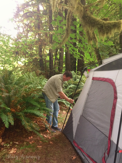 Mill Creek campground in the Redwoods
