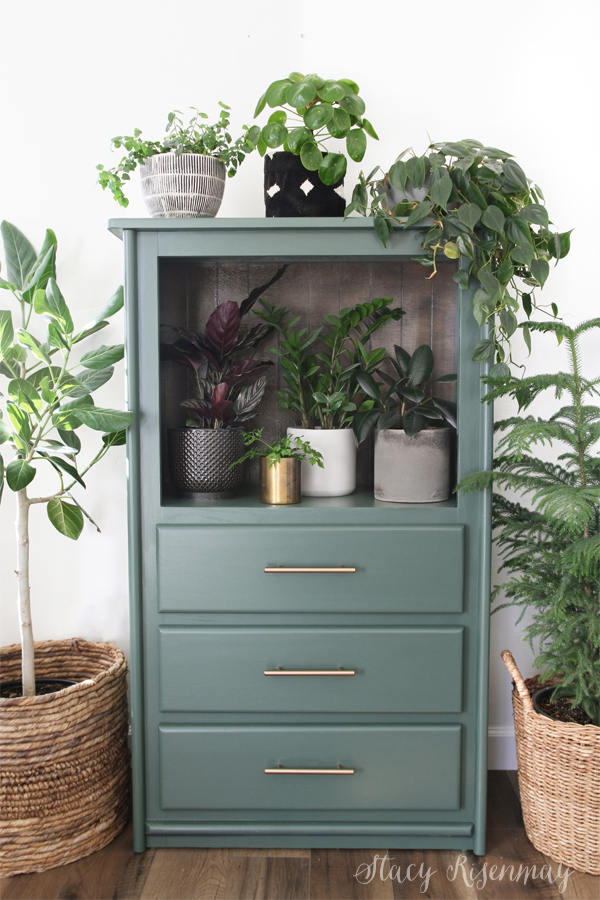 an armoire styled with plants