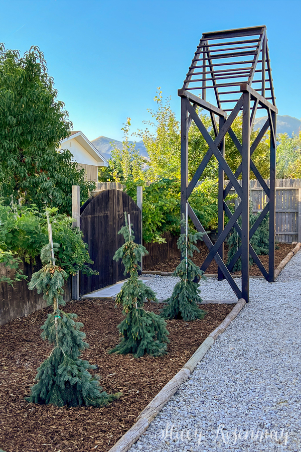 Backyard arbor and landscaping