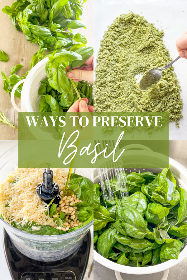 ways to preserve basil