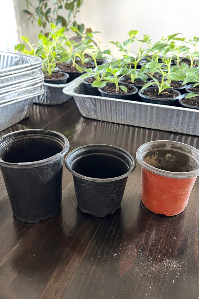 4 inch pots are sometimes different dimentions