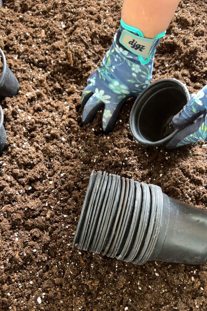 adding potting soil to 4 inch pots