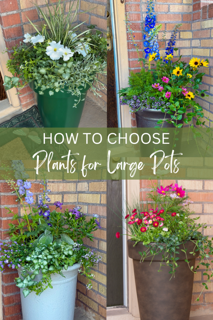 collage of large outdoor pots with flowers