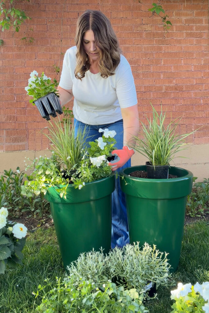 potting up a large outdoor planter