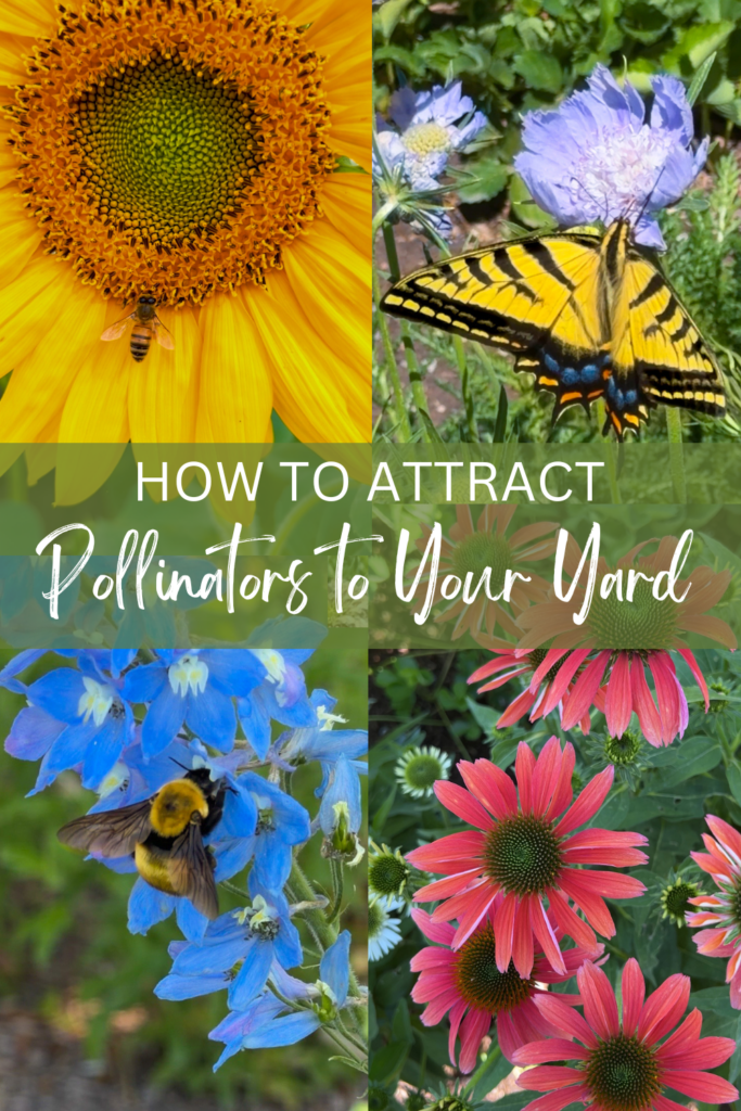 collage of photos of flowers and pollinators