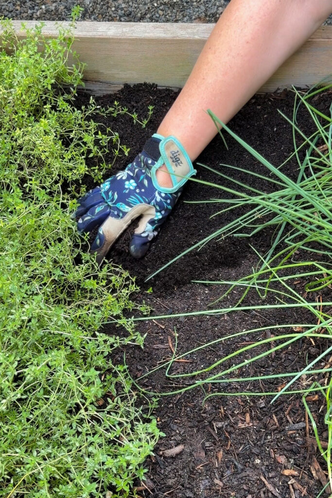 adding compost to raised beds