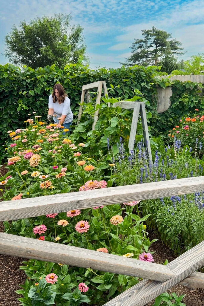 woman in garden deadheading flowers